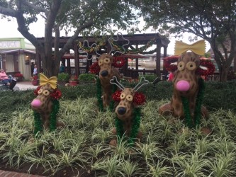 Peanut Family at Christmas Disney Springs-Walt Disney World-Orlando, Florida